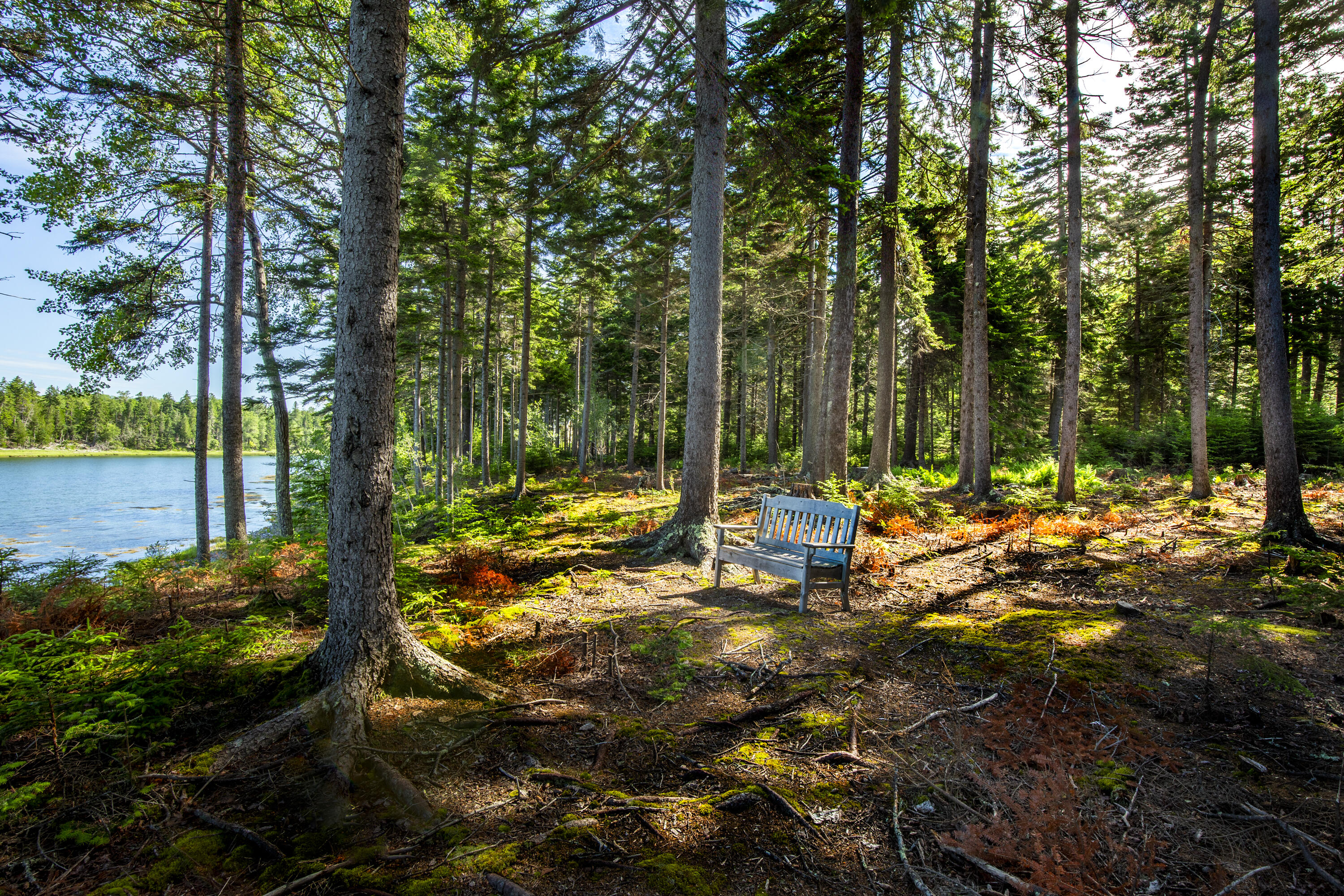 M15L20-TBD Golf Club Road Islesboro ME 04848