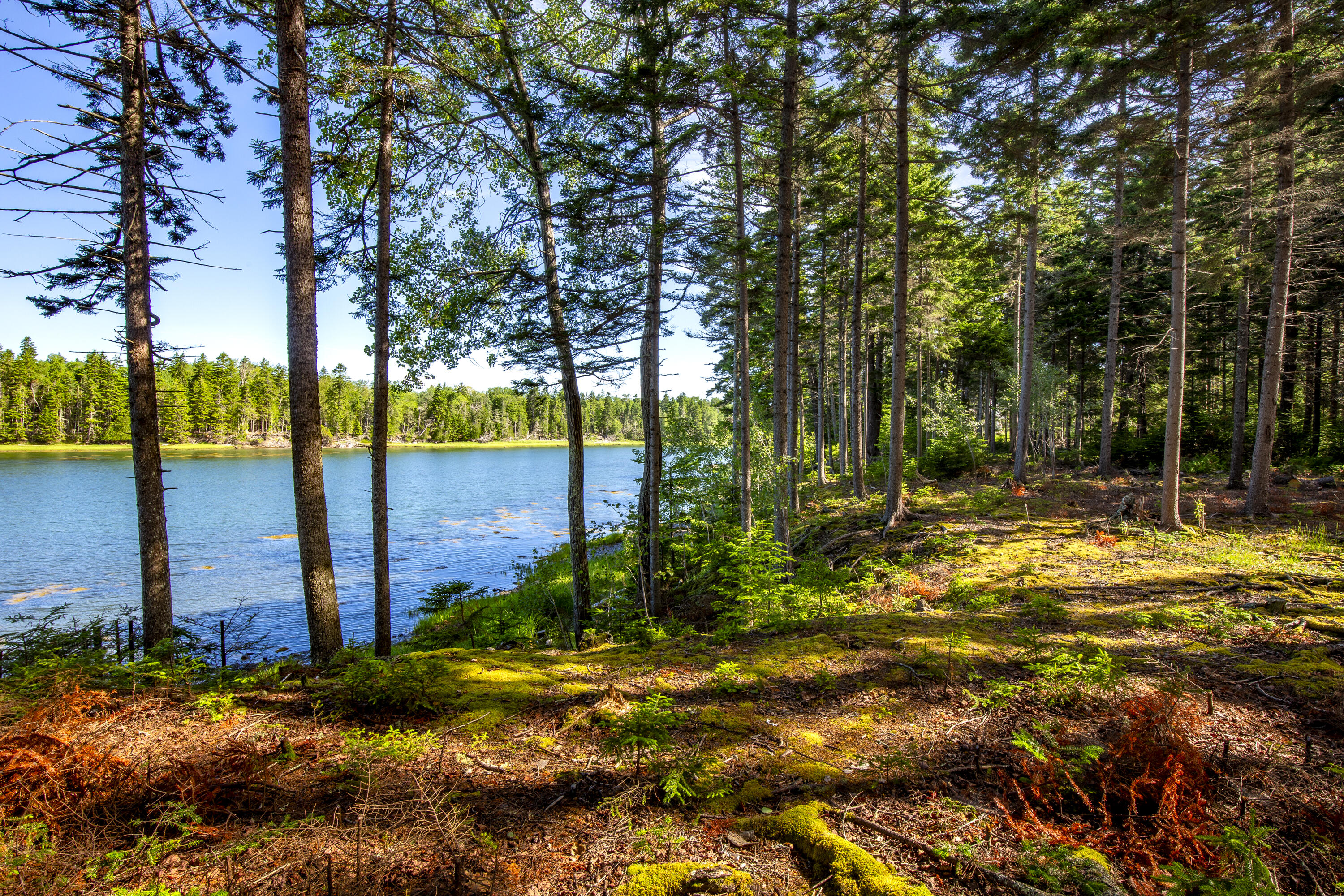 M15L20-TBD Golf Club Road Islesboro ME 04848