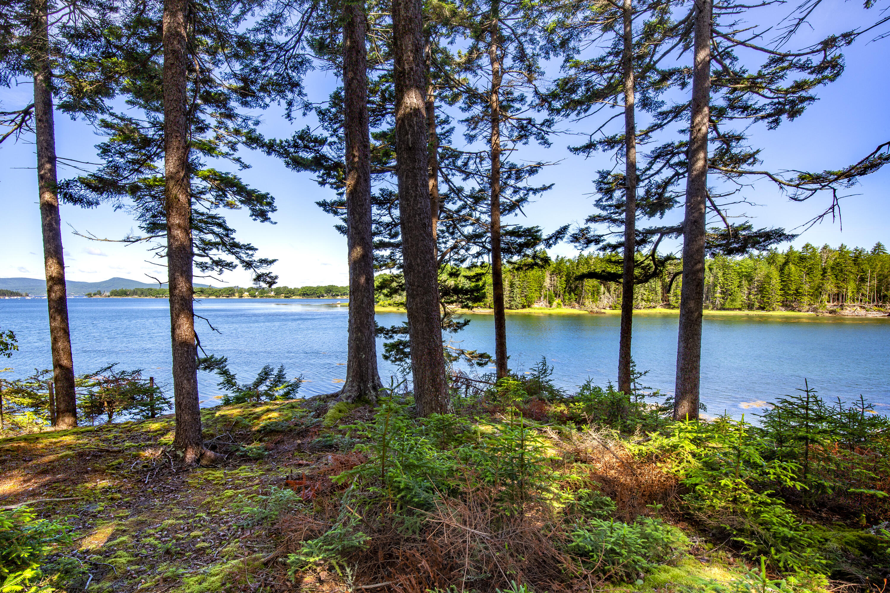 M15L20-TBD Golf Club Road Islesboro ME 04848