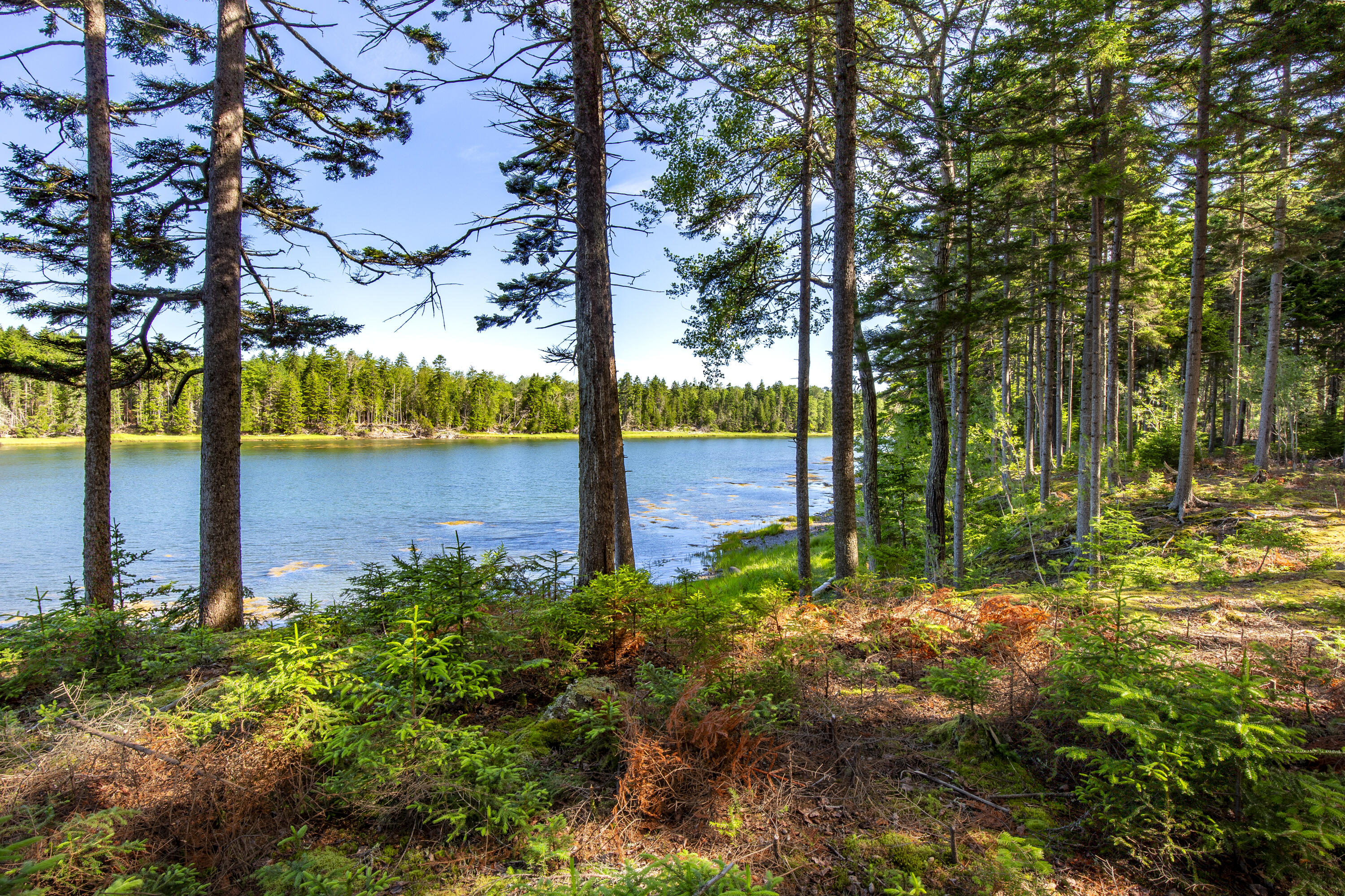 M15L20-TBD Golf Club Road Islesboro ME 04848