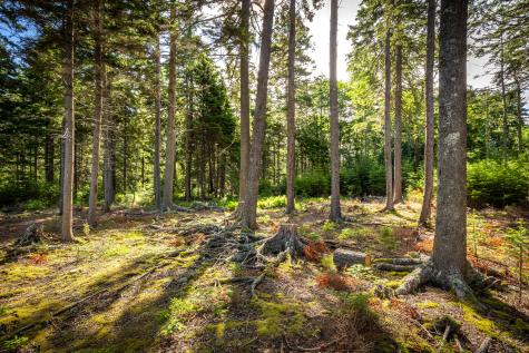 M15L20-TBD Golf Club Road Islesboro ME 04848