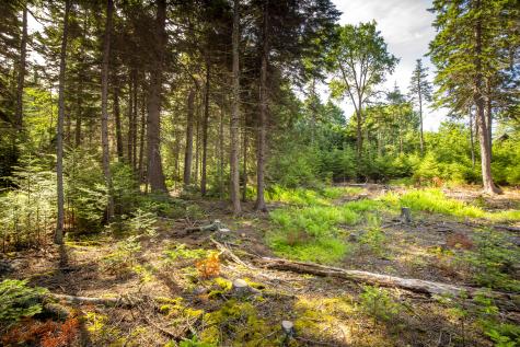 M15L20-TBD Golf Club Road Islesboro ME 04848