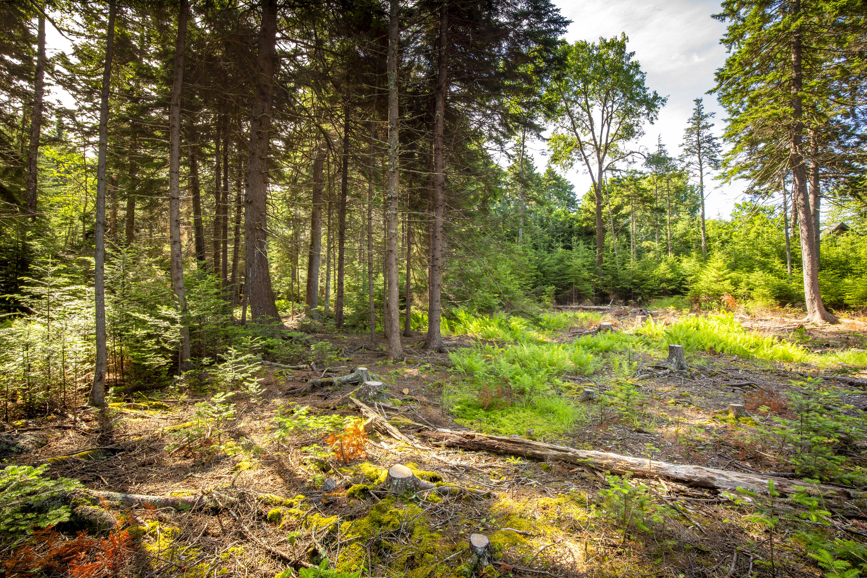 M15L20-TBD Golf Club Road Islesboro ME 04848
