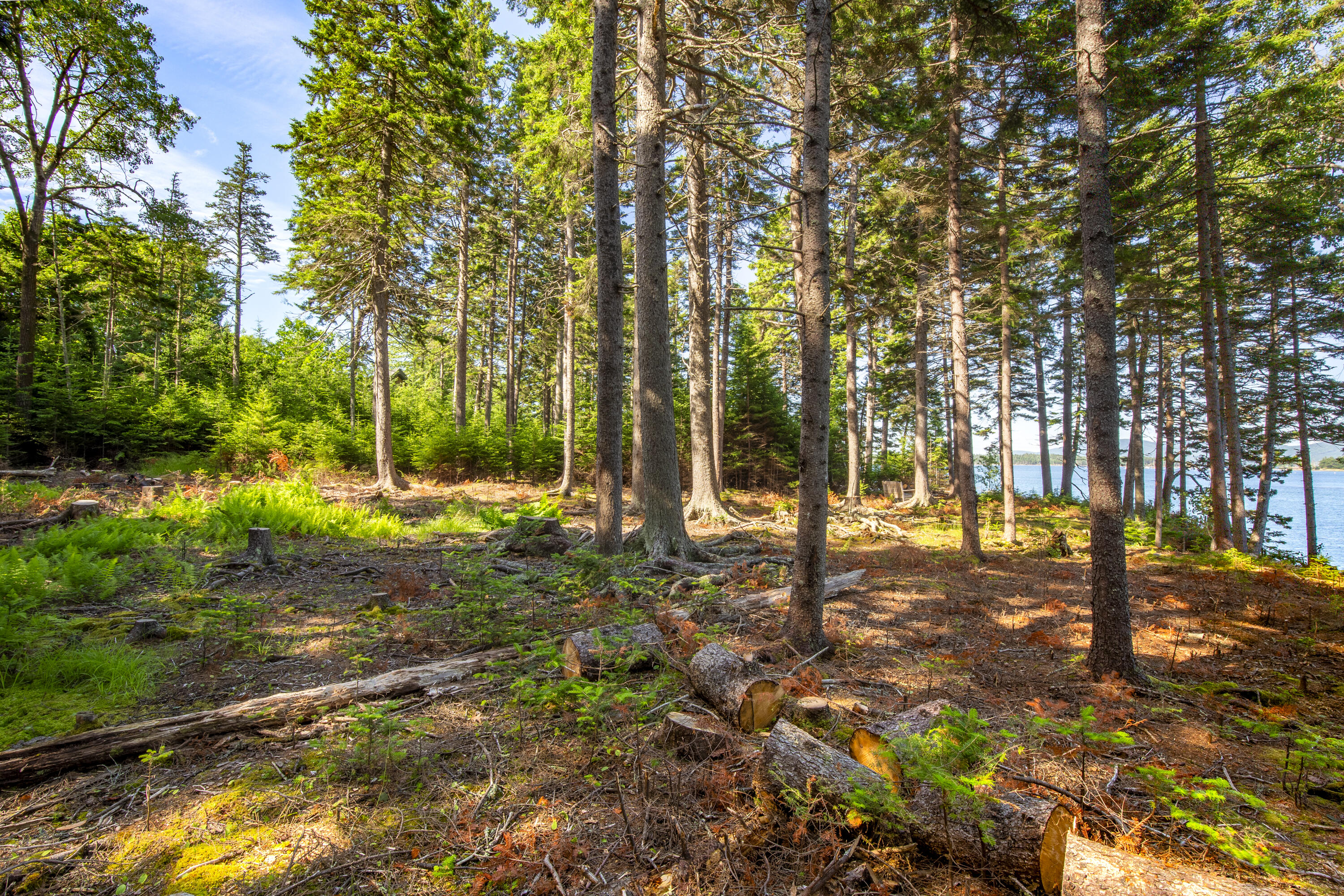 M15L20-TBD Golf Club Road Islesboro ME 04848