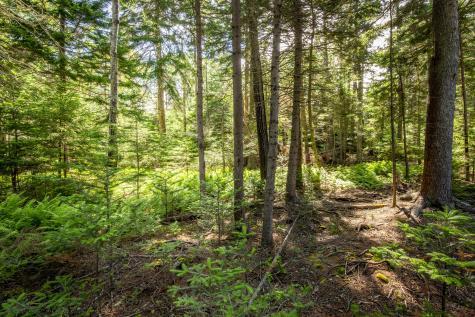 M15L20-TBD Golf Club Road Islesboro ME 04848