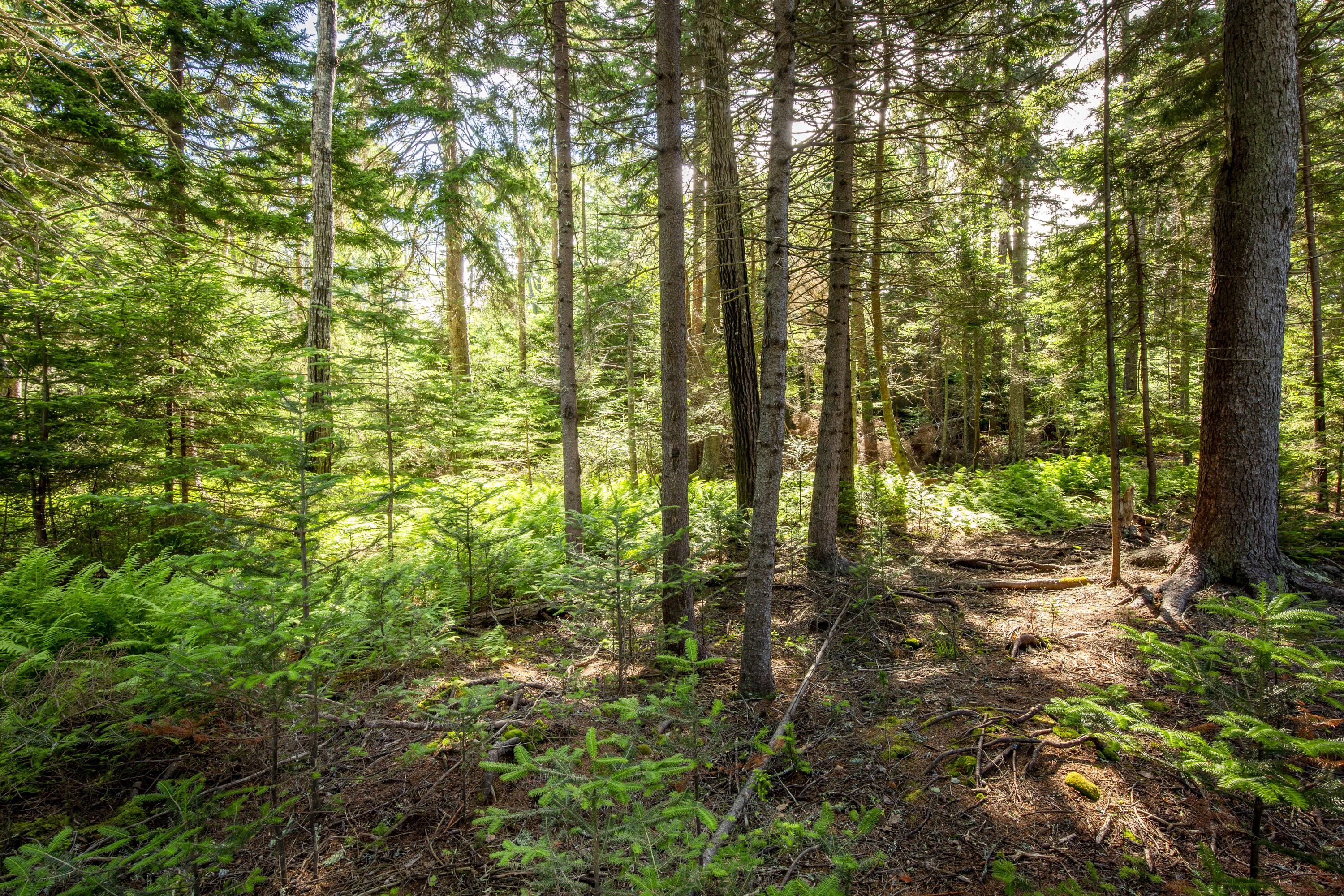 M15L20-TBD Golf Club Road Islesboro ME 04848
