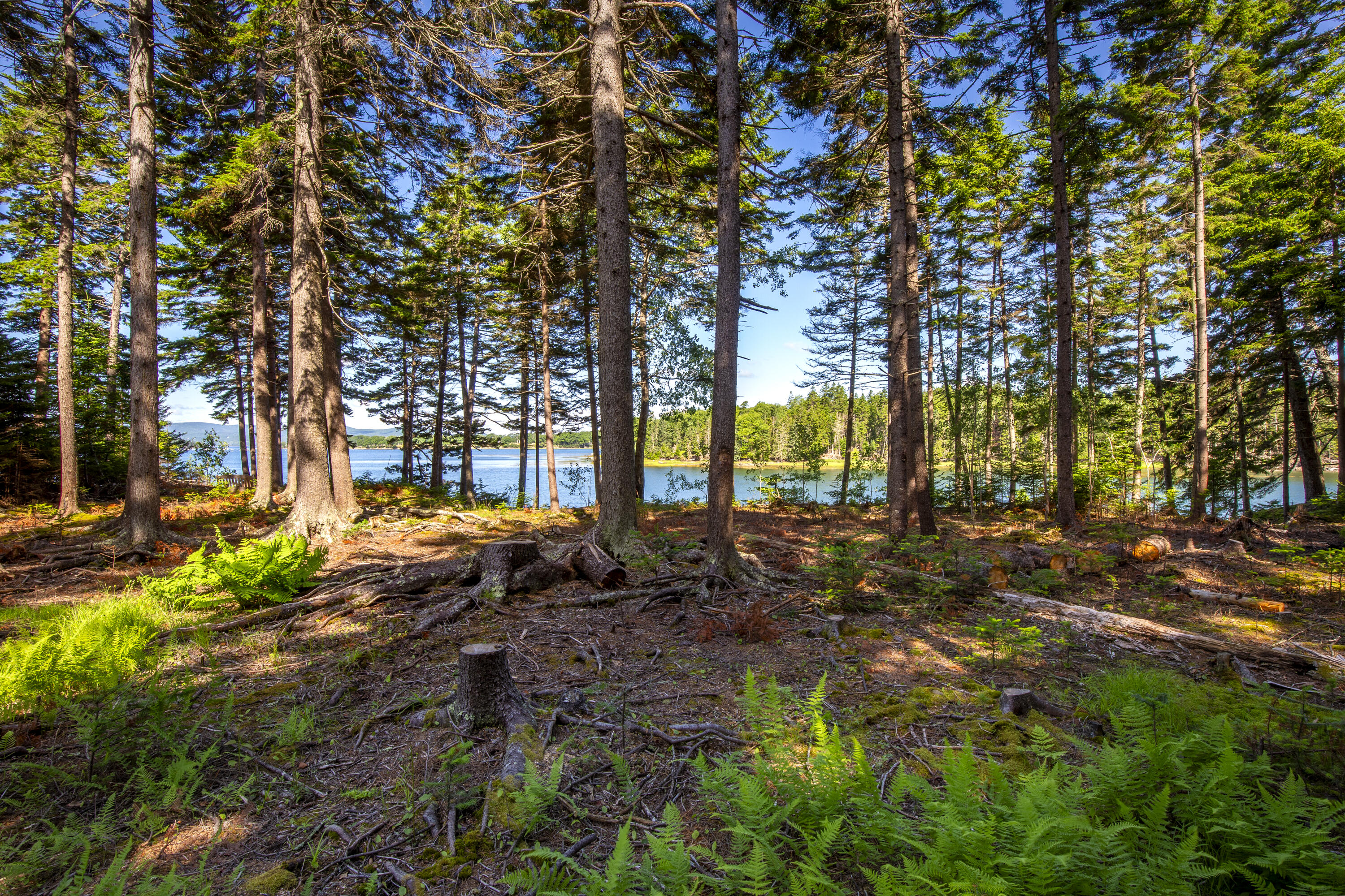 M15L20-TBD Golf Club Road Islesboro ME 04848