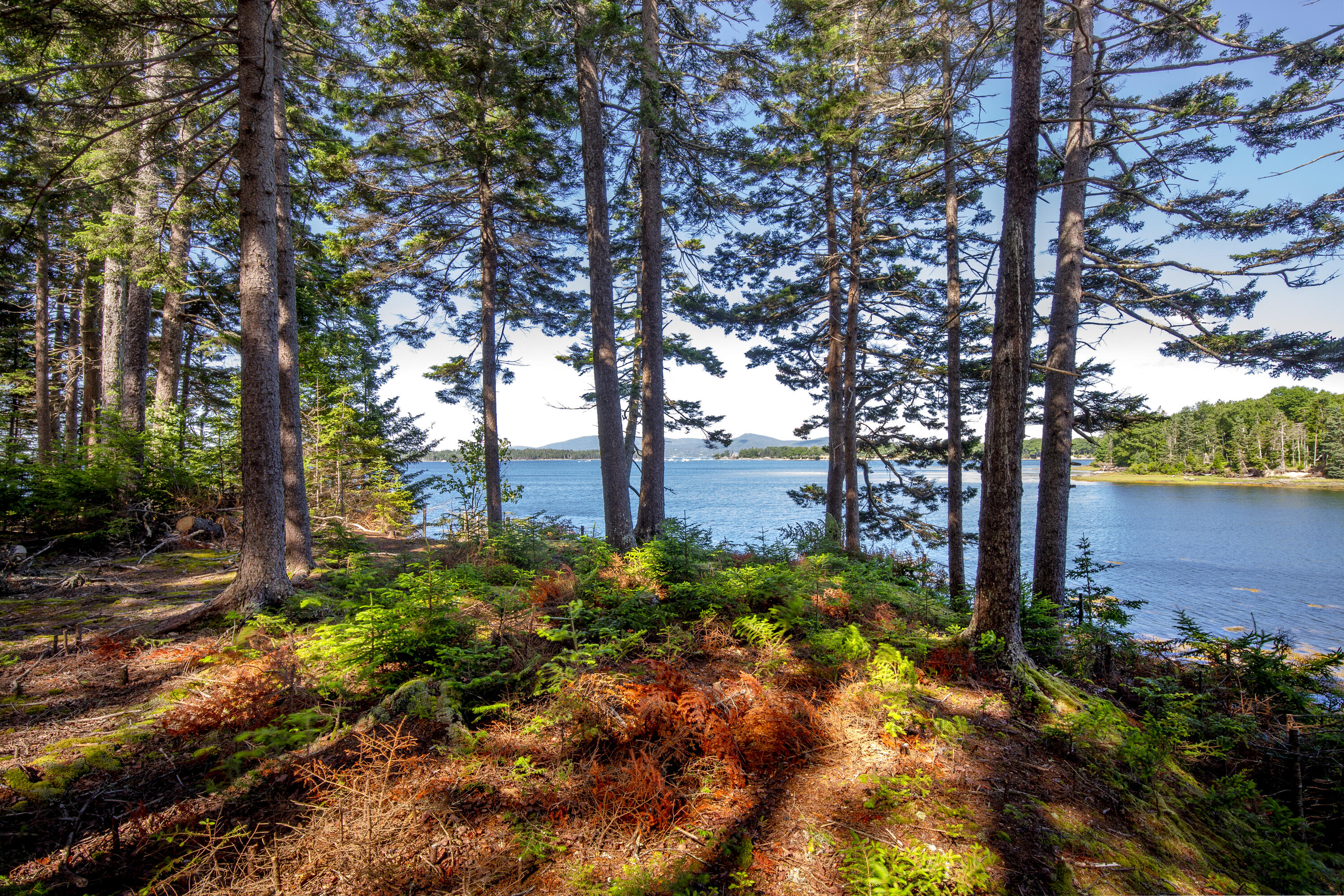 M15L20-TBD Golf Club Road Islesboro ME 04848
