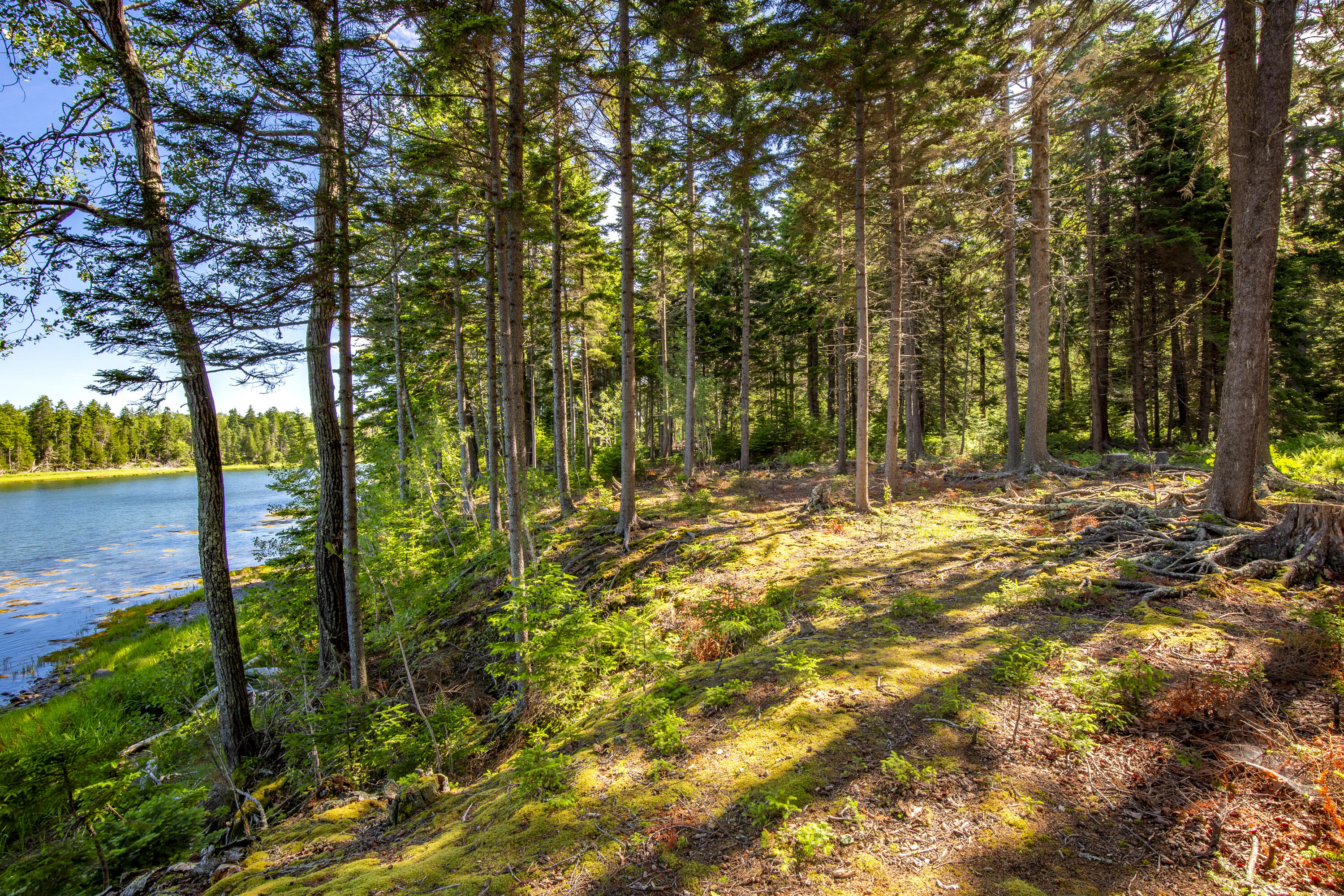 M15L20-TBD Golf Club Road Islesboro ME 04848