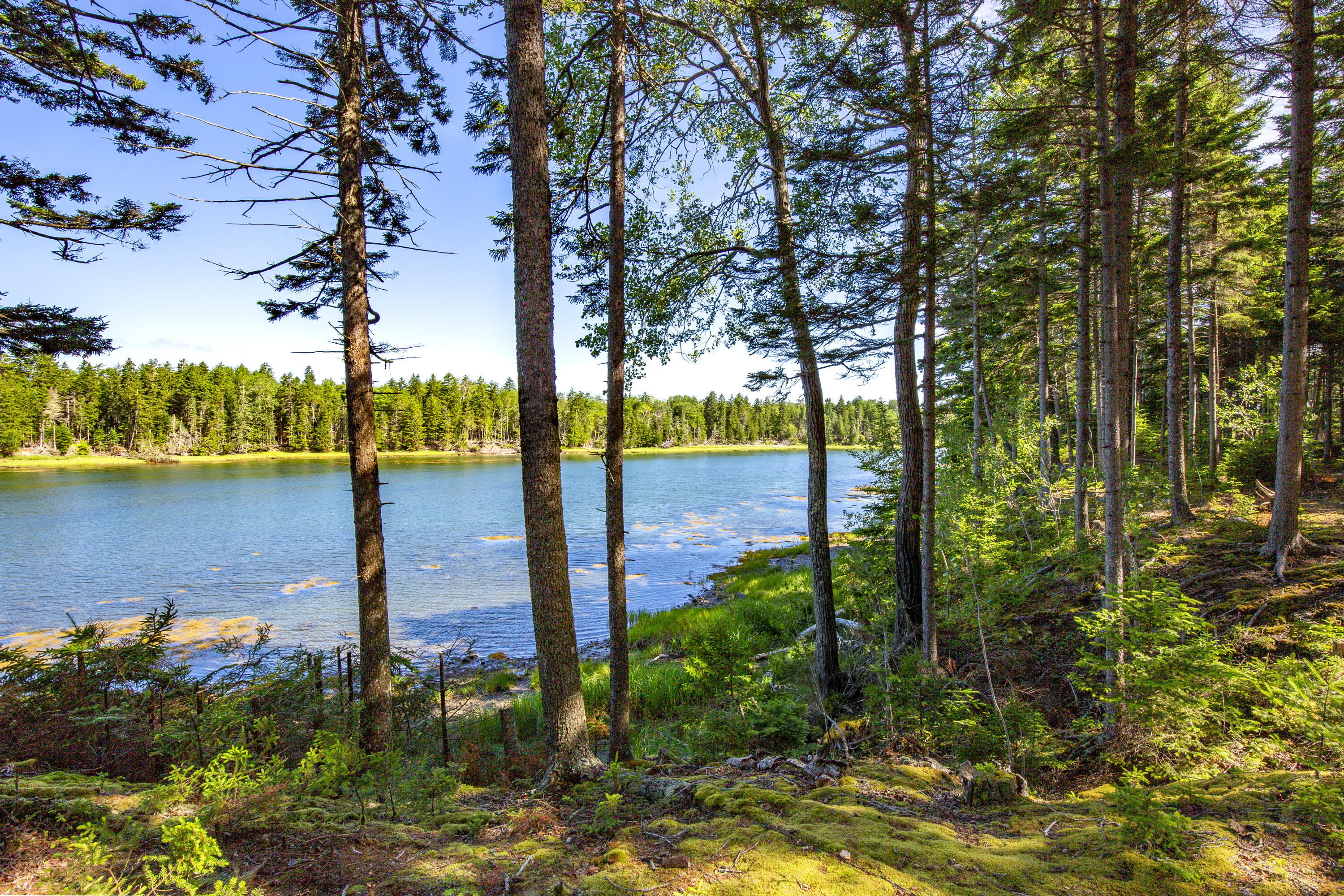 M15L20-TBD Golf Club Road Islesboro ME 04848