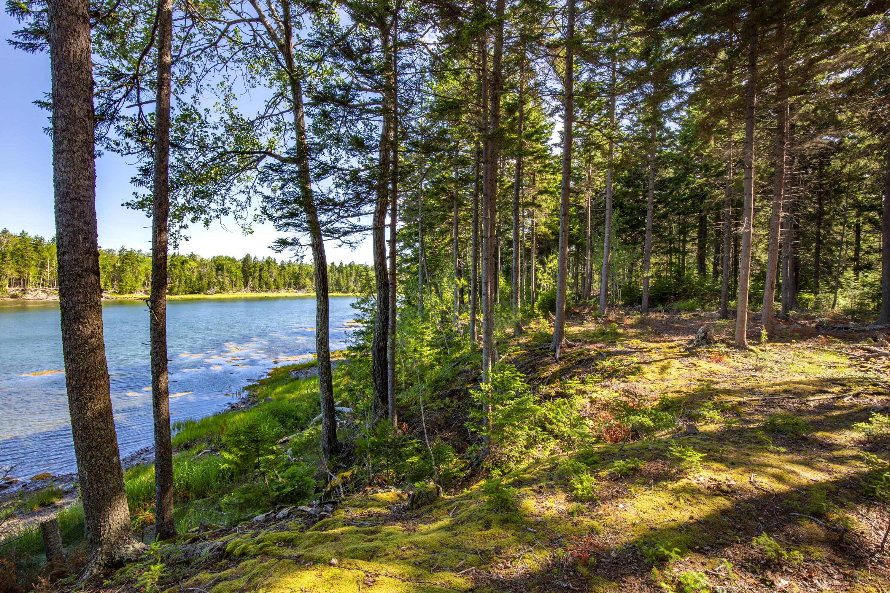 M15L20-TBD Golf Club Road Islesboro ME 04848