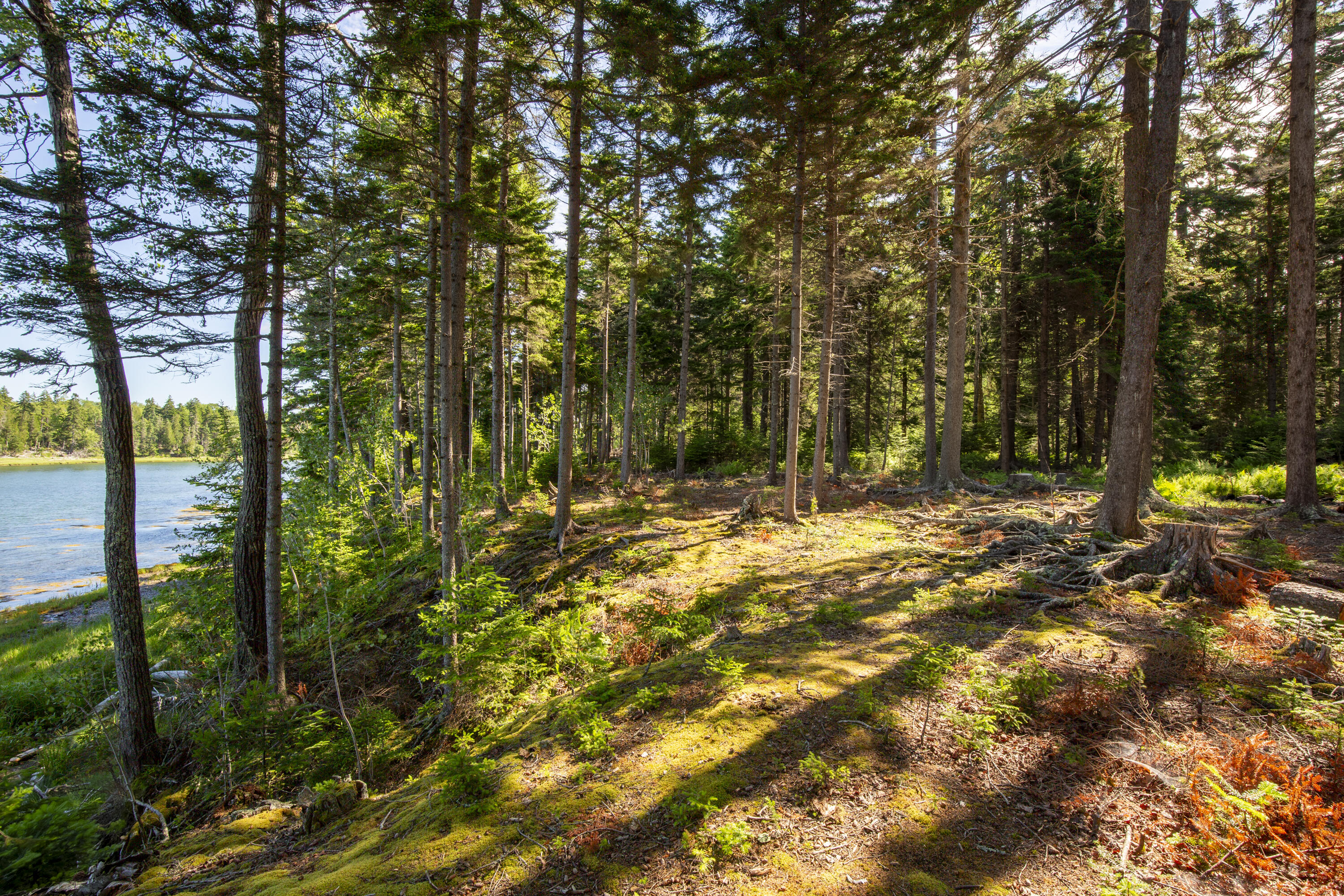 M15L20-TBD Golf Club Road Islesboro ME 04848