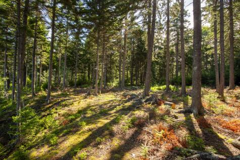 M15L20-TBD Golf Club Road Islesboro ME 04848