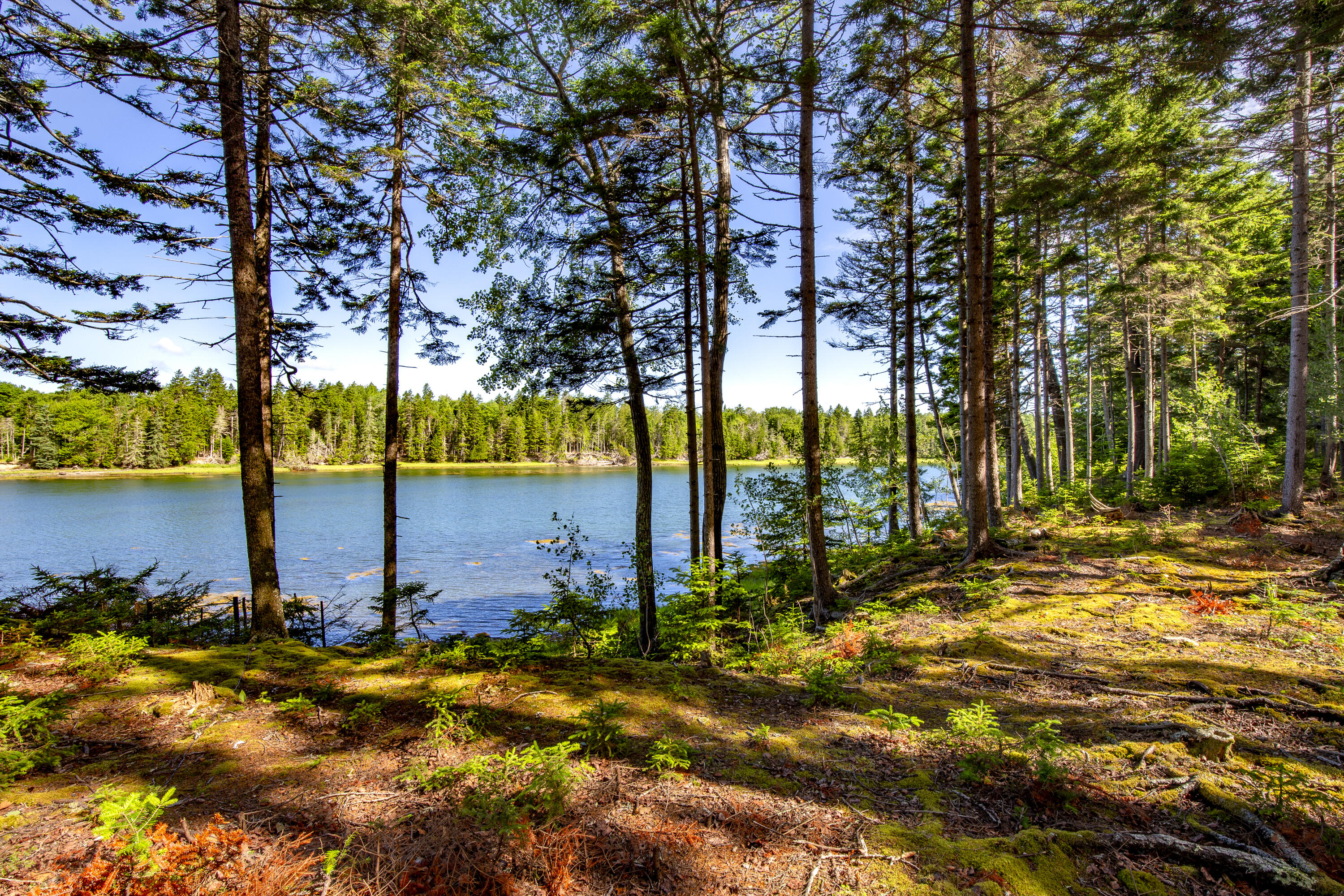 M15L20-TBD Golf Club Road Islesboro ME 04848