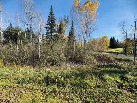 M2 L39-1 Pease Road Mapleton ME 04757