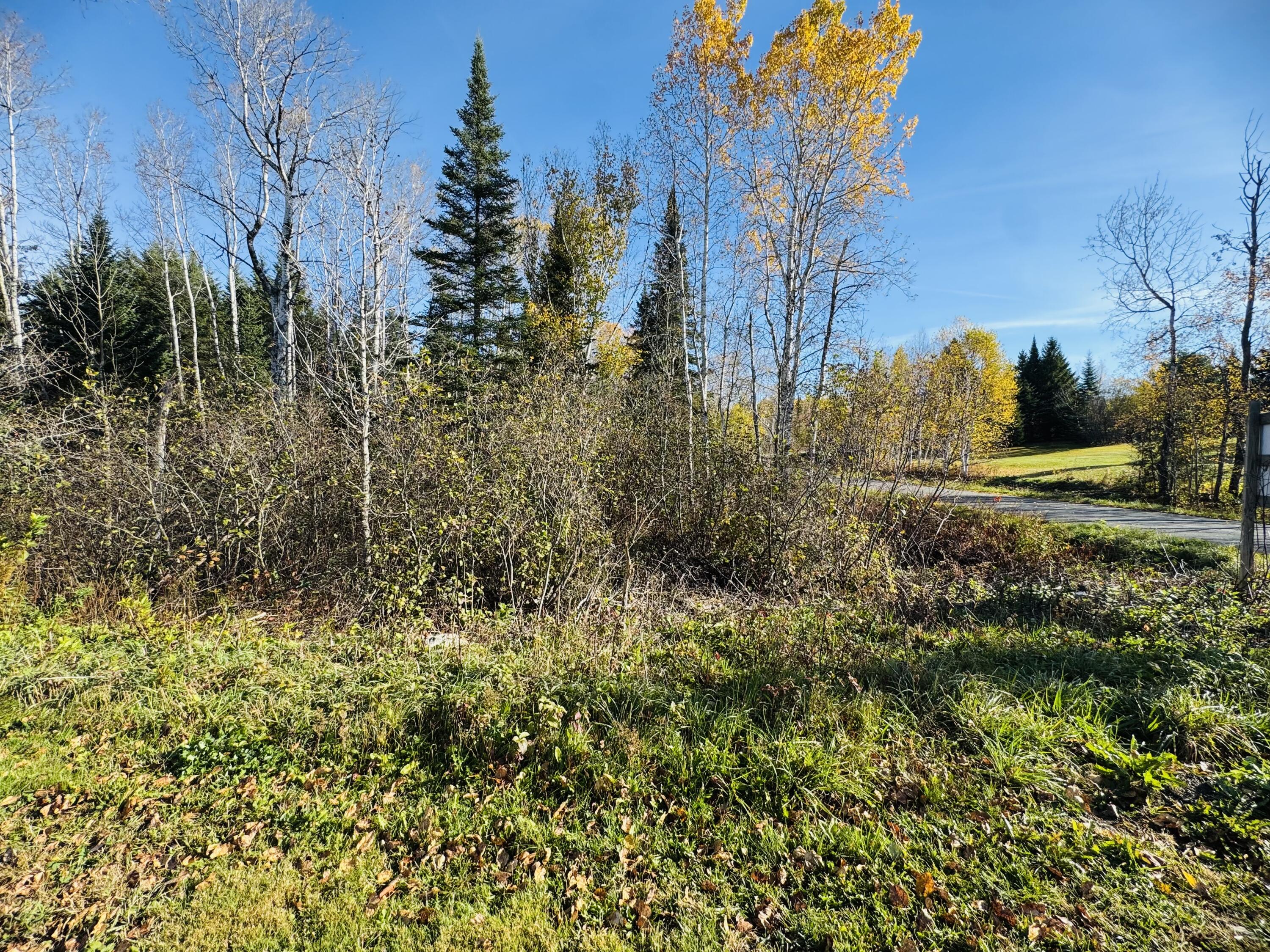 M2 L39-1 Pease Road Mapleton ME 04757