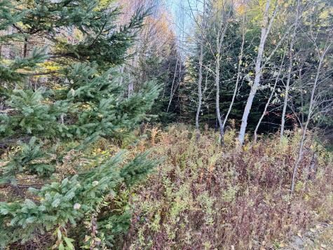 M2 L39-1 Pease Road Mapleton ME 04757