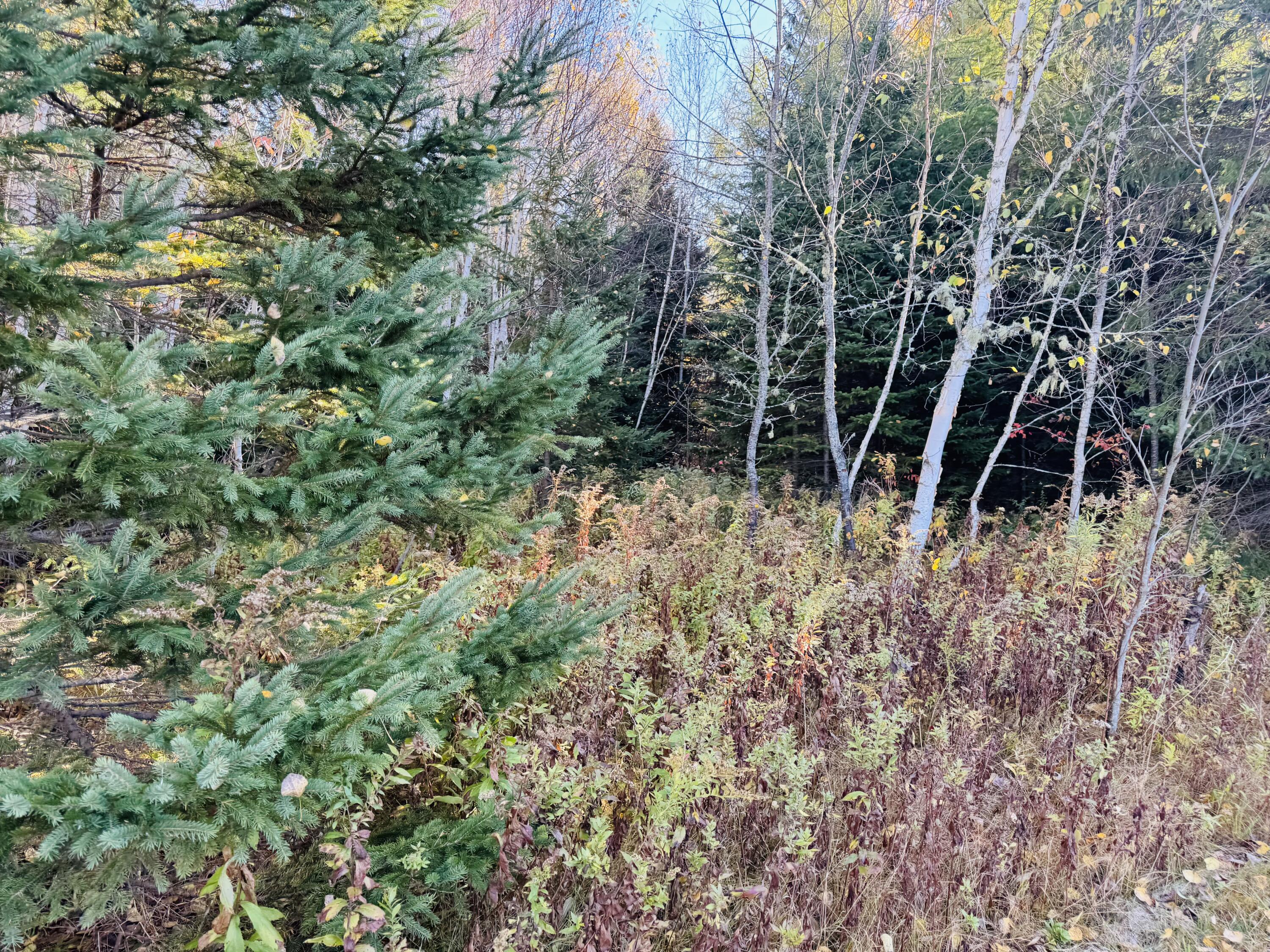 M2 L39-1 Pease Road Mapleton ME 04757