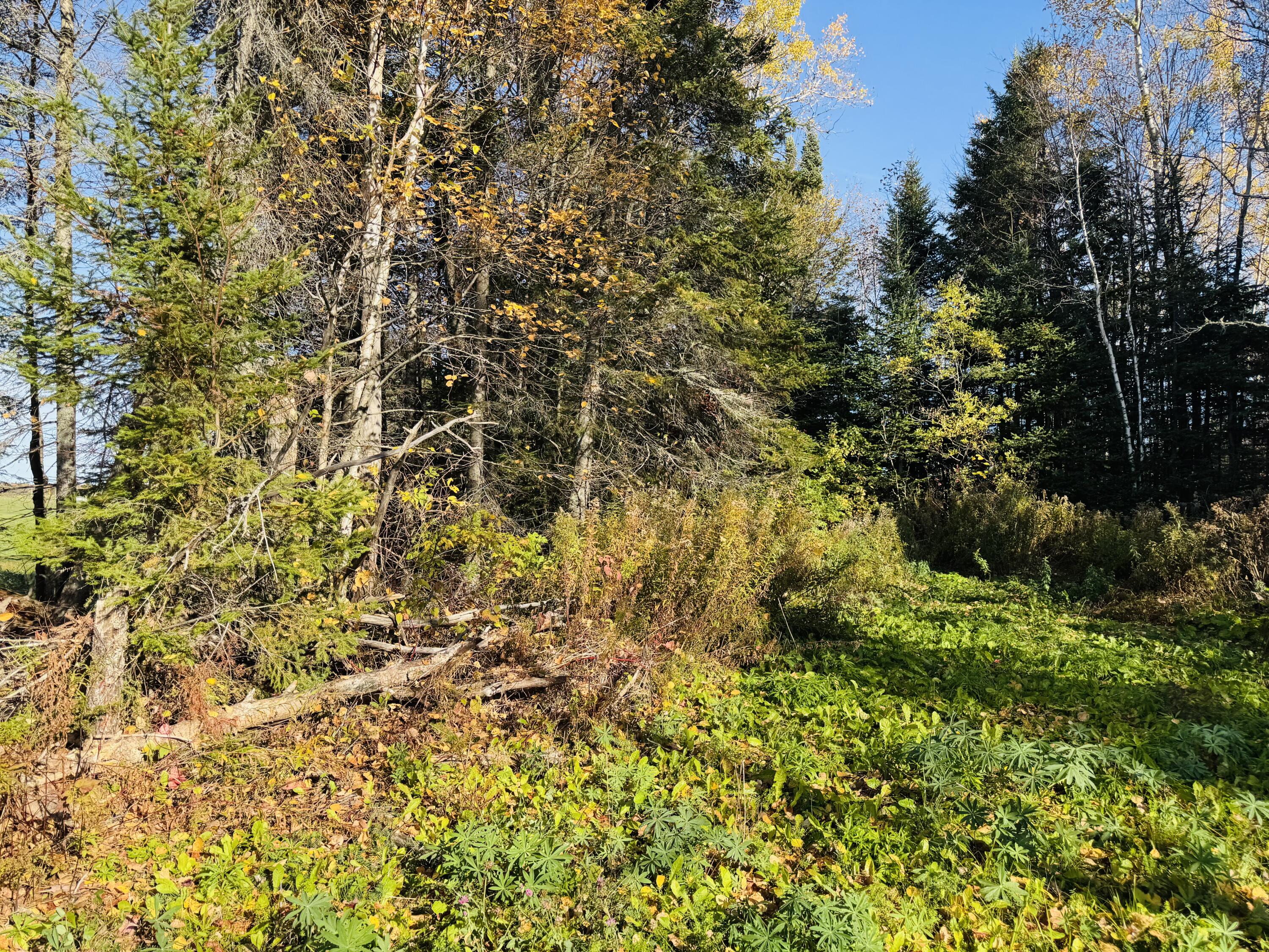 M2 L39-1 Pease Road Mapleton ME 04757
