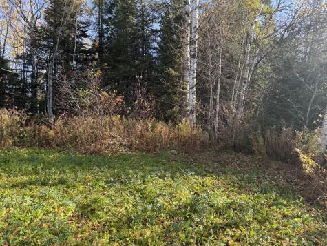 M2 L39-1 Pease Road Mapleton ME 04757