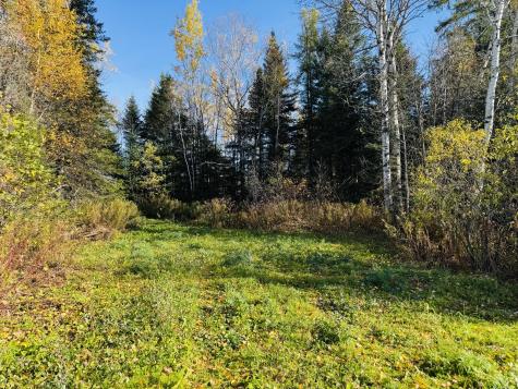 M2 L39-1 Pease Road Mapleton ME 04757