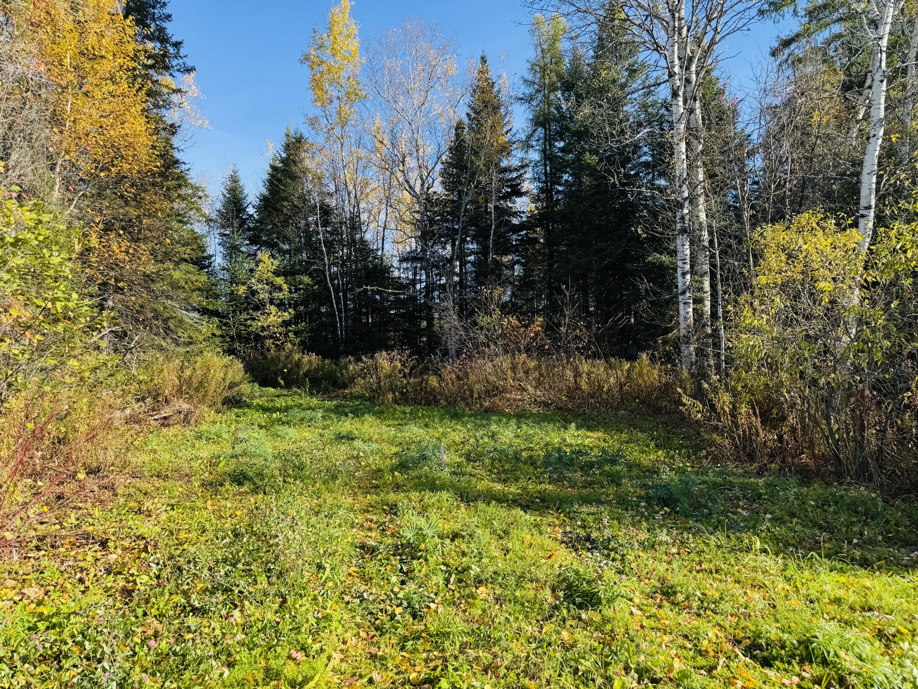 M2 L39-1 Pease Road Mapleton ME 04757