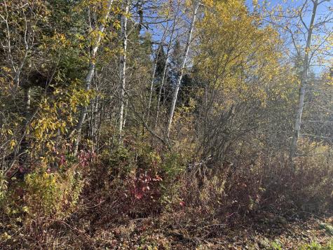 M2 L39-1 Pease Road Mapleton ME 04757