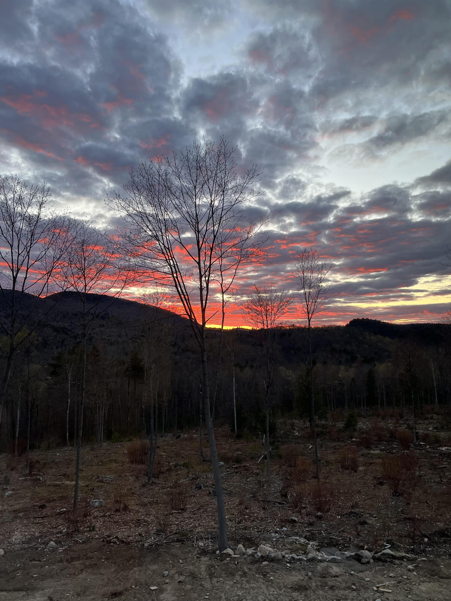 Lot 2 Rowe Hill Road Greenwood ME 04255