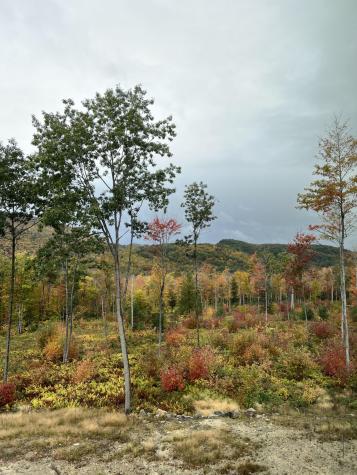 Lot 2 Rowe Hill Road Greenwood ME 04255