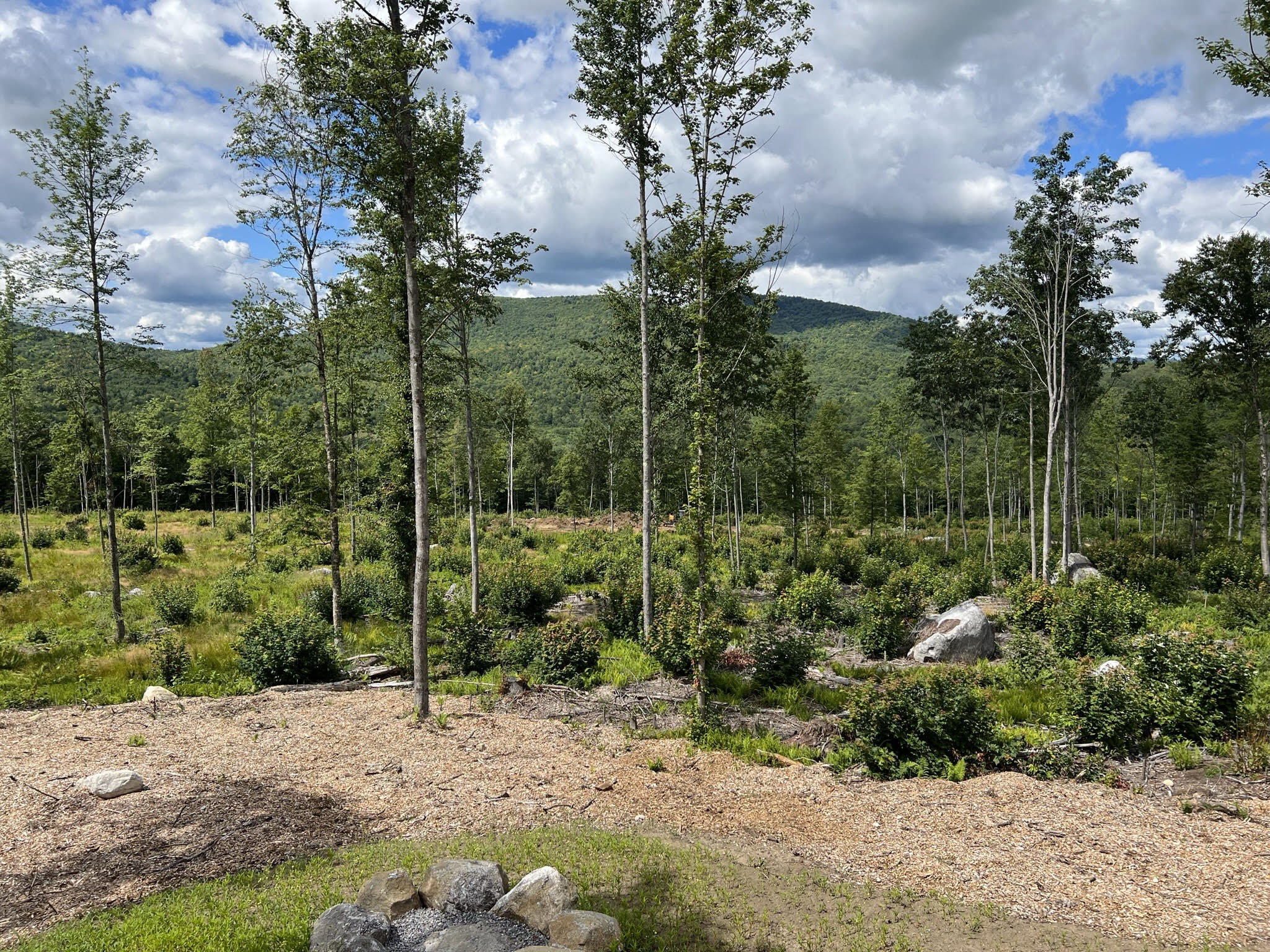 Lot 2 Rowe Hill Road Greenwood ME 04255