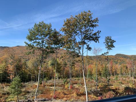 Lot 2 Rowe Hill Road Greenwood ME 04255