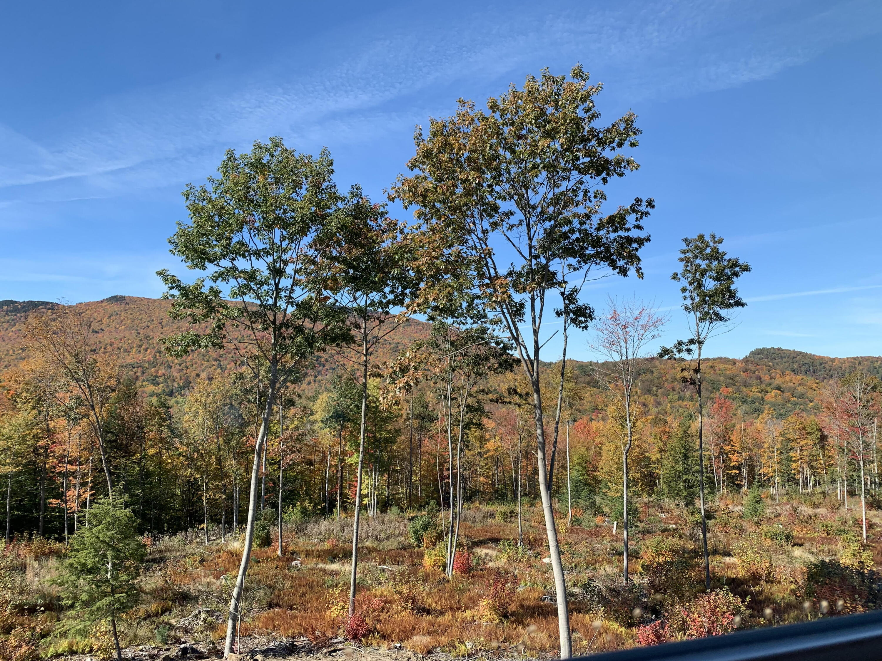 Lot 2 Rowe Hill Road Greenwood ME 04255