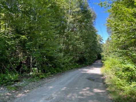 Lot B West Richardson Pond Road Lincoln Plt ME 04970