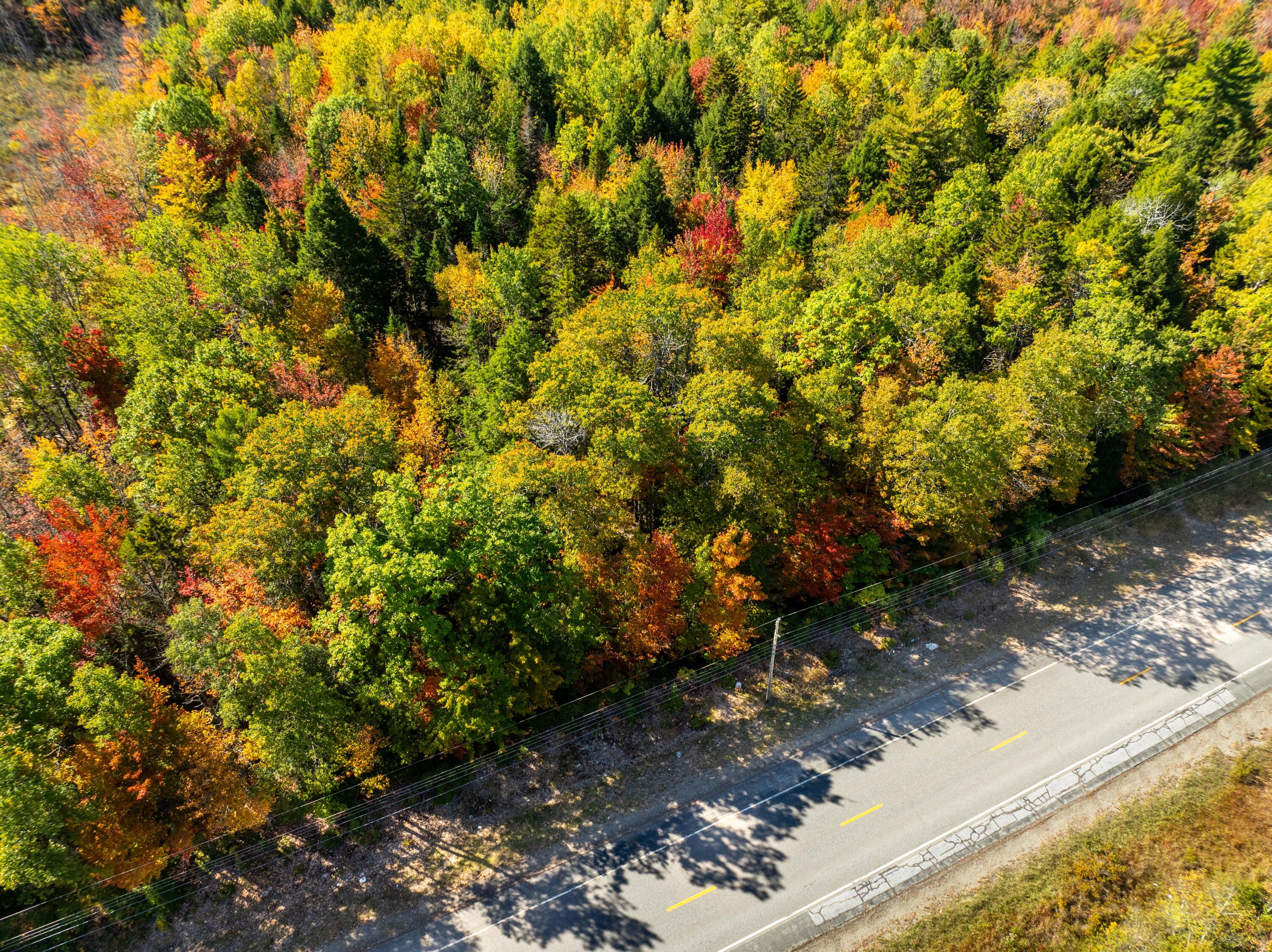 Tbd 3 Acre Us Route One Waite ME 04492