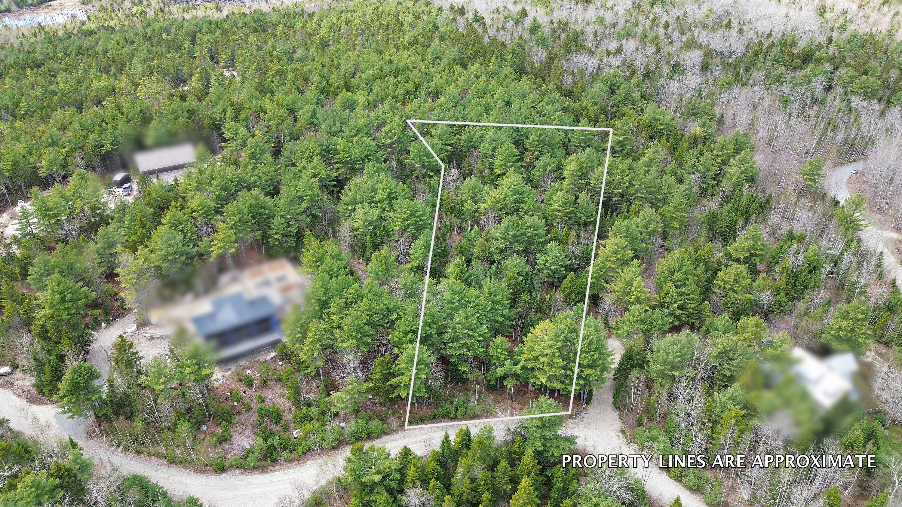 Lot 4 Bailey Mountain Road Franklin ME 04634