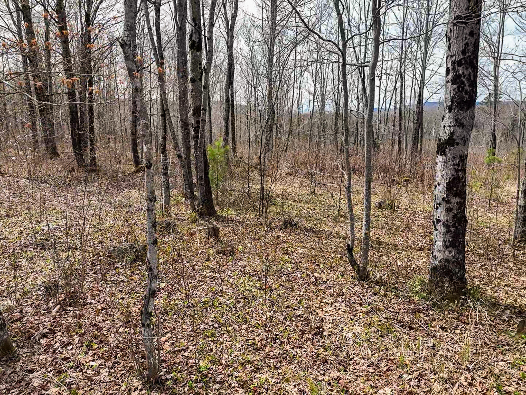 0 Center Hill Road Weld ME 04285