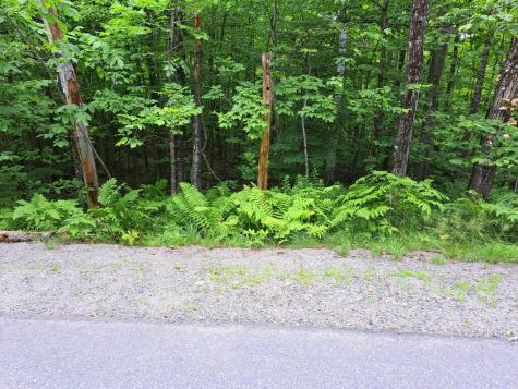 Lot 12 Barker Road New Vineyard ME 04956