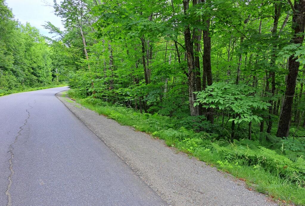 Lot 12 Barker Road New Vineyard ME 04956