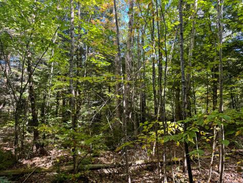 M4l7m Oak View Lane Enfield ME 04493