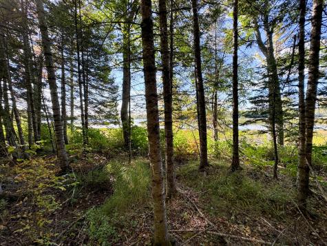 M4l7m Oak View Lane Enfield ME 04493