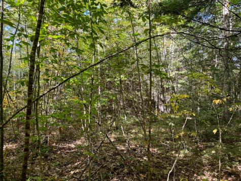 M4l7m Oak View Lane Enfield ME 04493