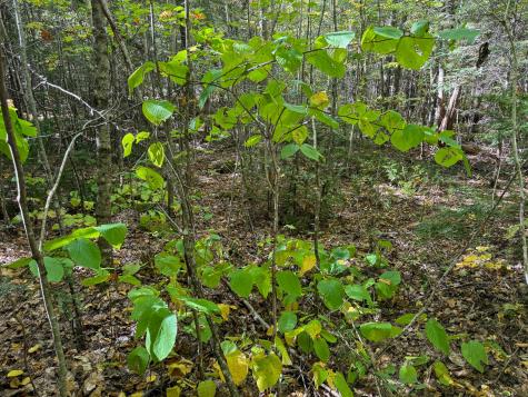 M4l7m Oak View Lane Enfield ME 04493