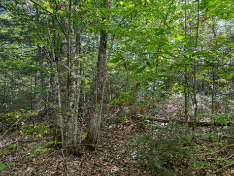 M4l7m Oak View Lane Enfield ME 04493