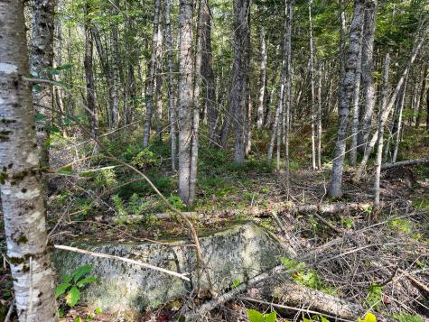 M4l7m Oak View Lane Enfield ME 04493