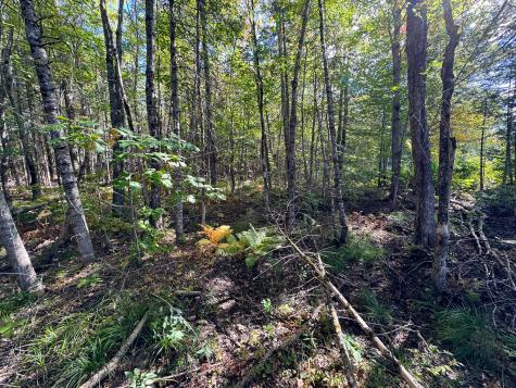 M4l7m Oak View Lane Enfield ME 04493