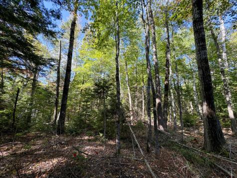 M4l7m Oak View Lane Enfield ME 04493