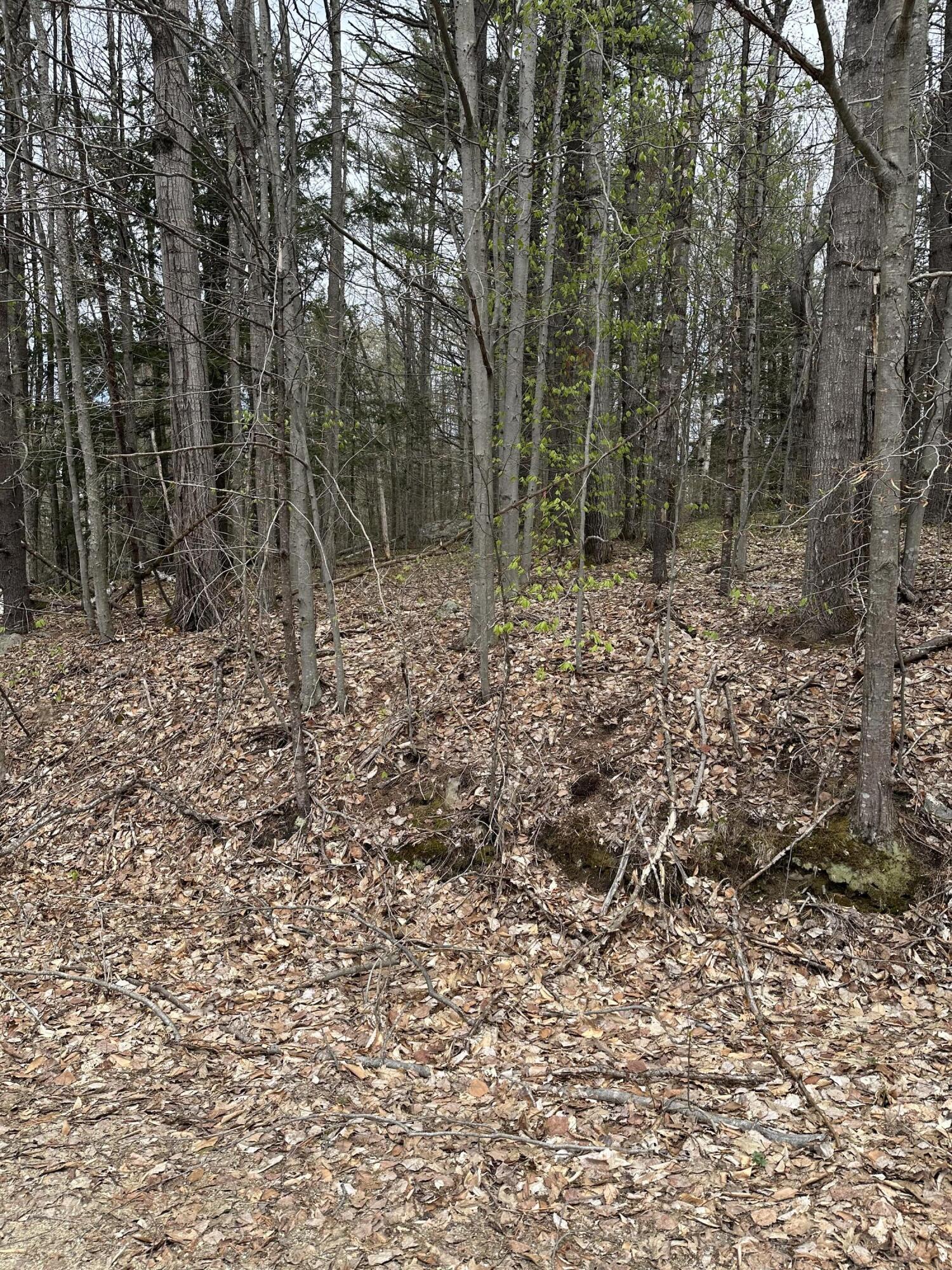 Lot #5 - 344 Moose Hill Road Livermore Falls ME 04254