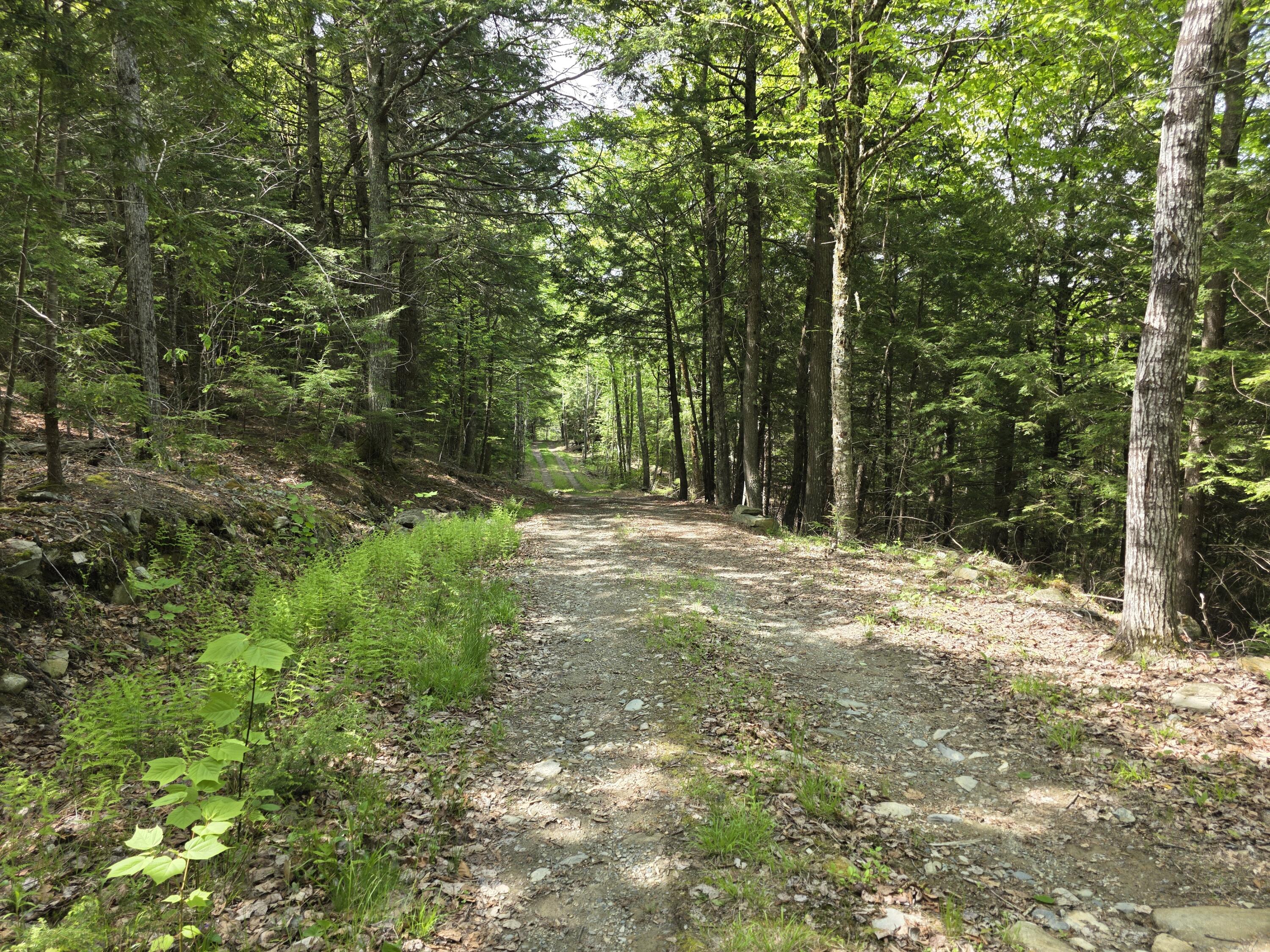 0 Morrison Road Bucksport ME 04416