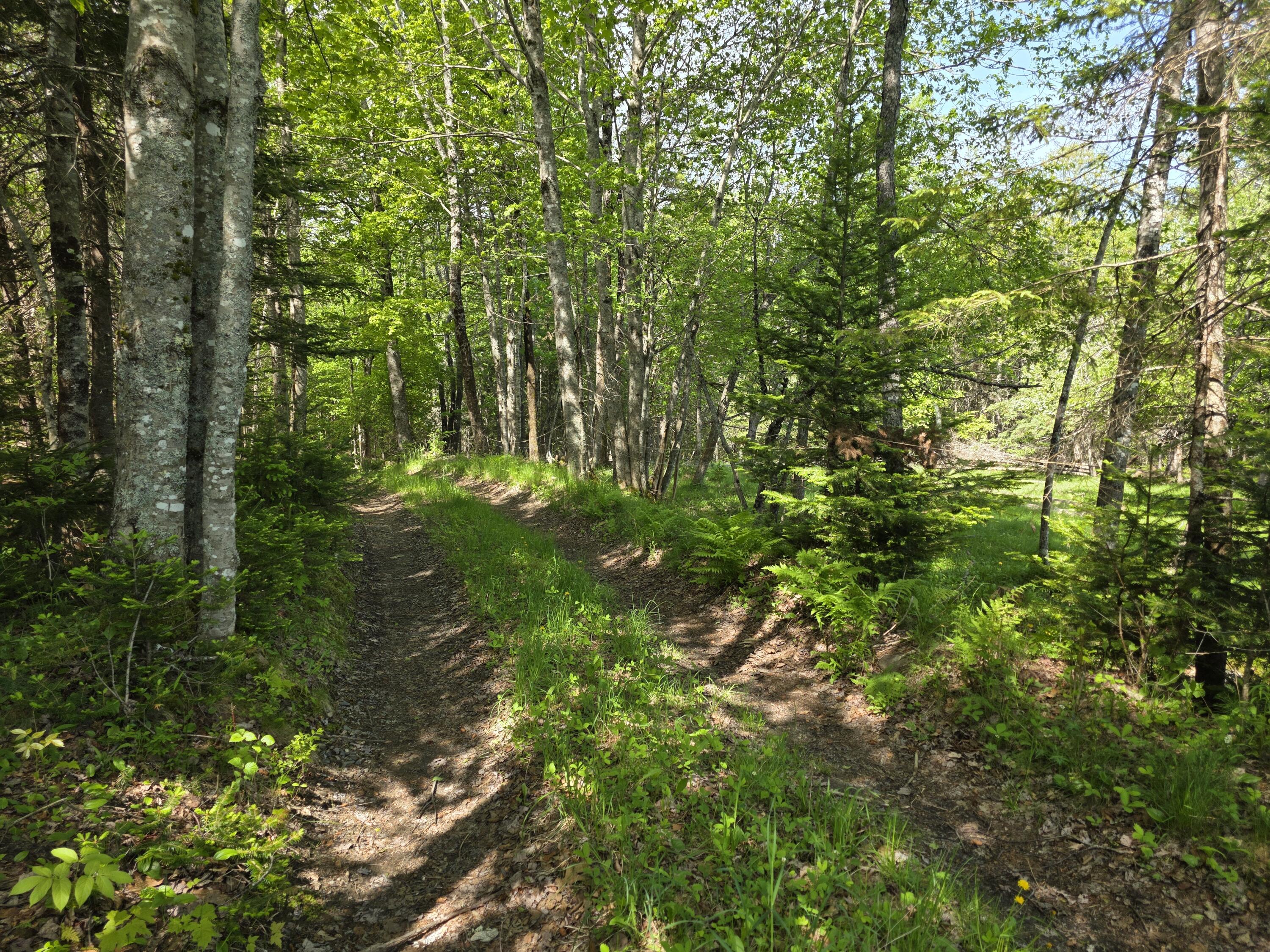0 Morrison Road Bucksport ME 04416