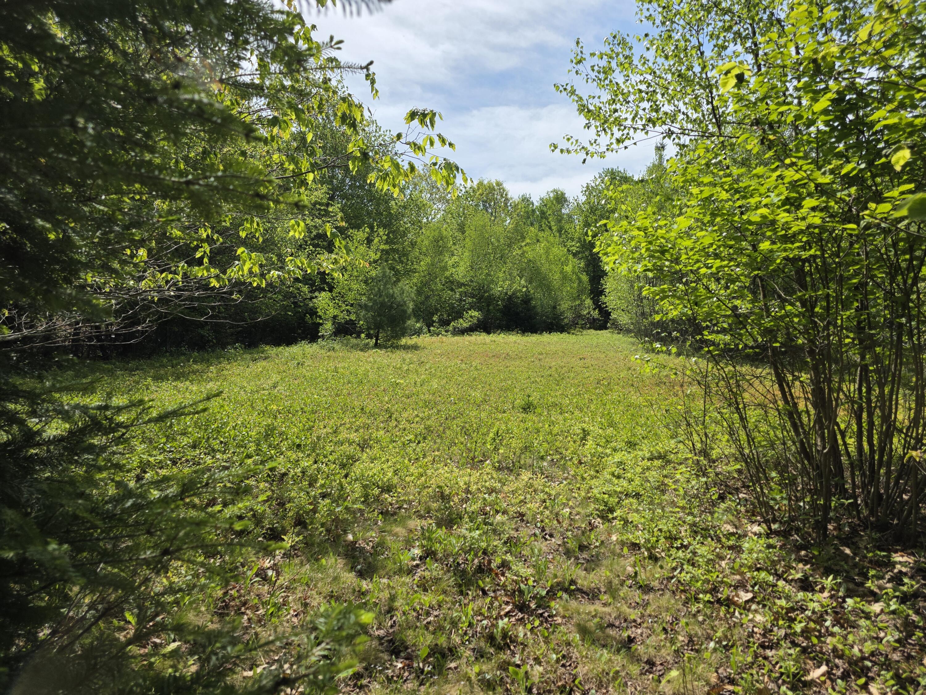 0 Morrison Road Bucksport ME 04416